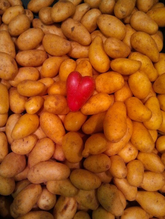 wpid-wp-1417776474145.jpeg image