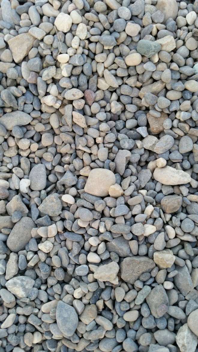 20150309_173822.jpg image