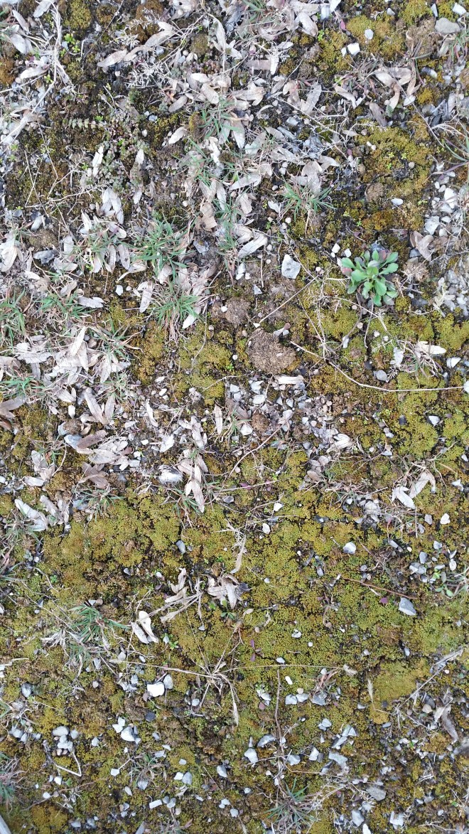 20150316_170246.jpg image