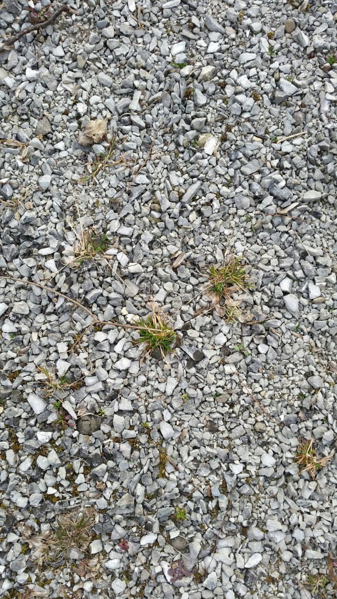 20150316_170326.jpg image